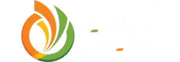 دراسة وجدوى للاستشارات الاقتصادية