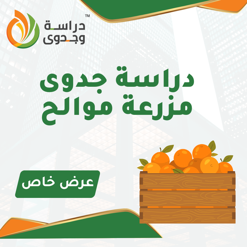 دراسة جدوى زراعة الموالح