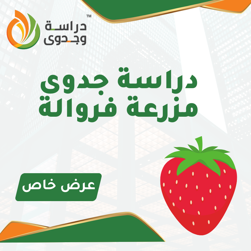 دراسة جدوى زراعة الفراولة