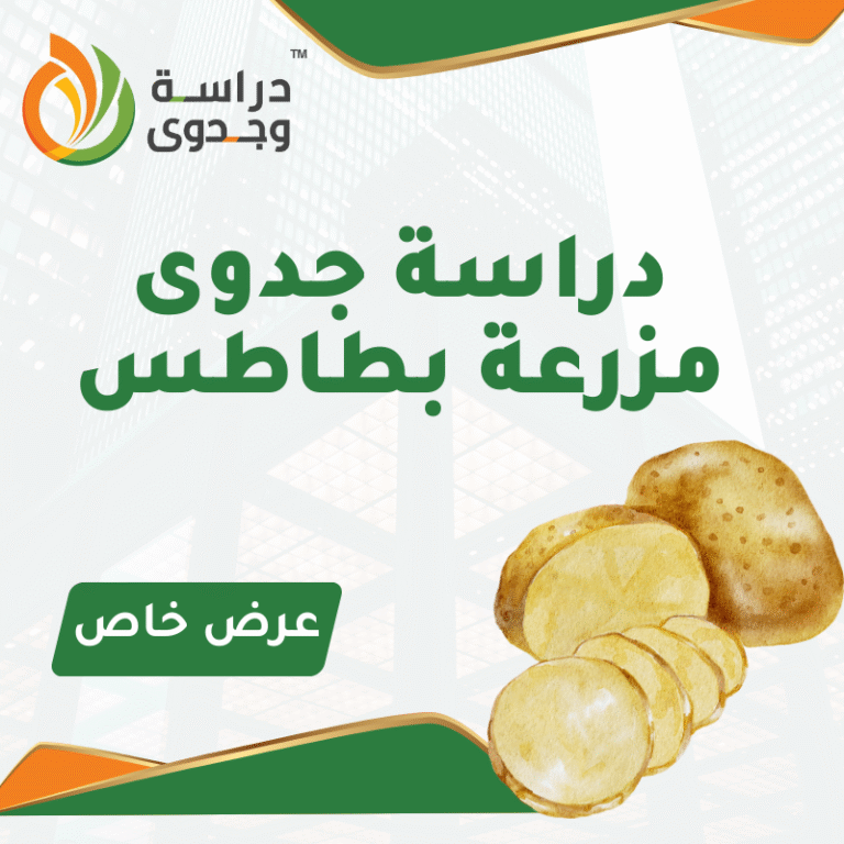 دراسة جدوى زراعة البطاطس