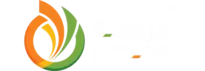 دراسة وجدوى