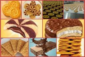 دراسة جدوى مخبز 8
