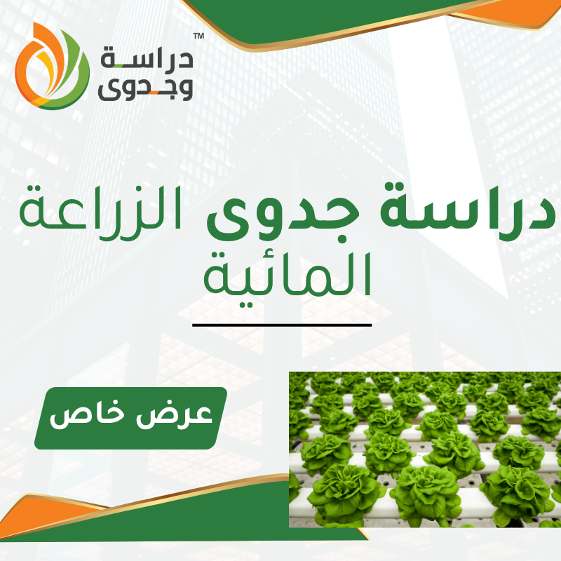دراسة جدوى الزراعة المائية ( الهيدروبونيك)