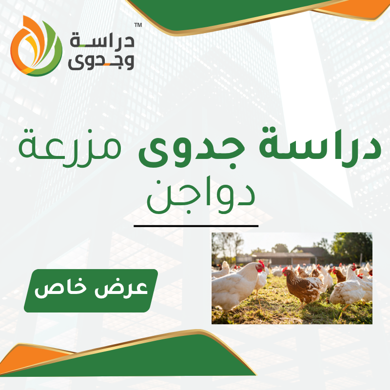 دراسة جدوى مزرعة دواجن في السعودية 2026
